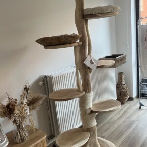 Baron 2m (suarhout)
