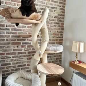 Katrien 1.50m (suarhout)