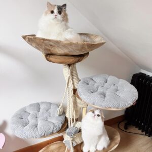 Baby Babette (suarhout)