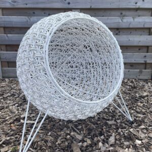 Witte Bellamy