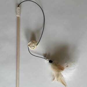 hengel met veren - NatuurVriend