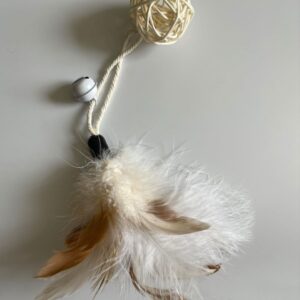 rotan speelbal