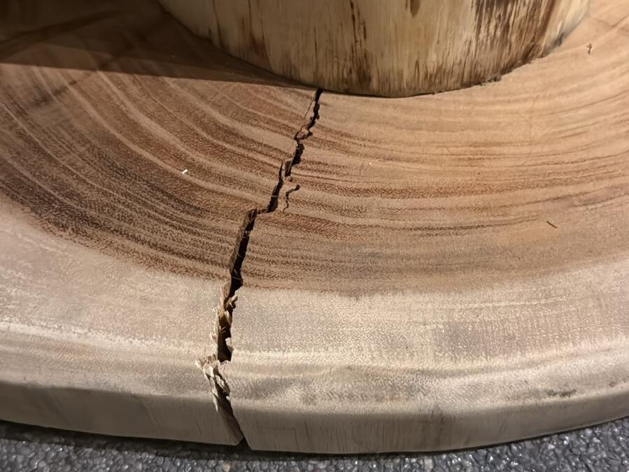 Tout ce qu&rsquo;il faut savoir sur les fissures dans le bois : causes, entretien et réparation