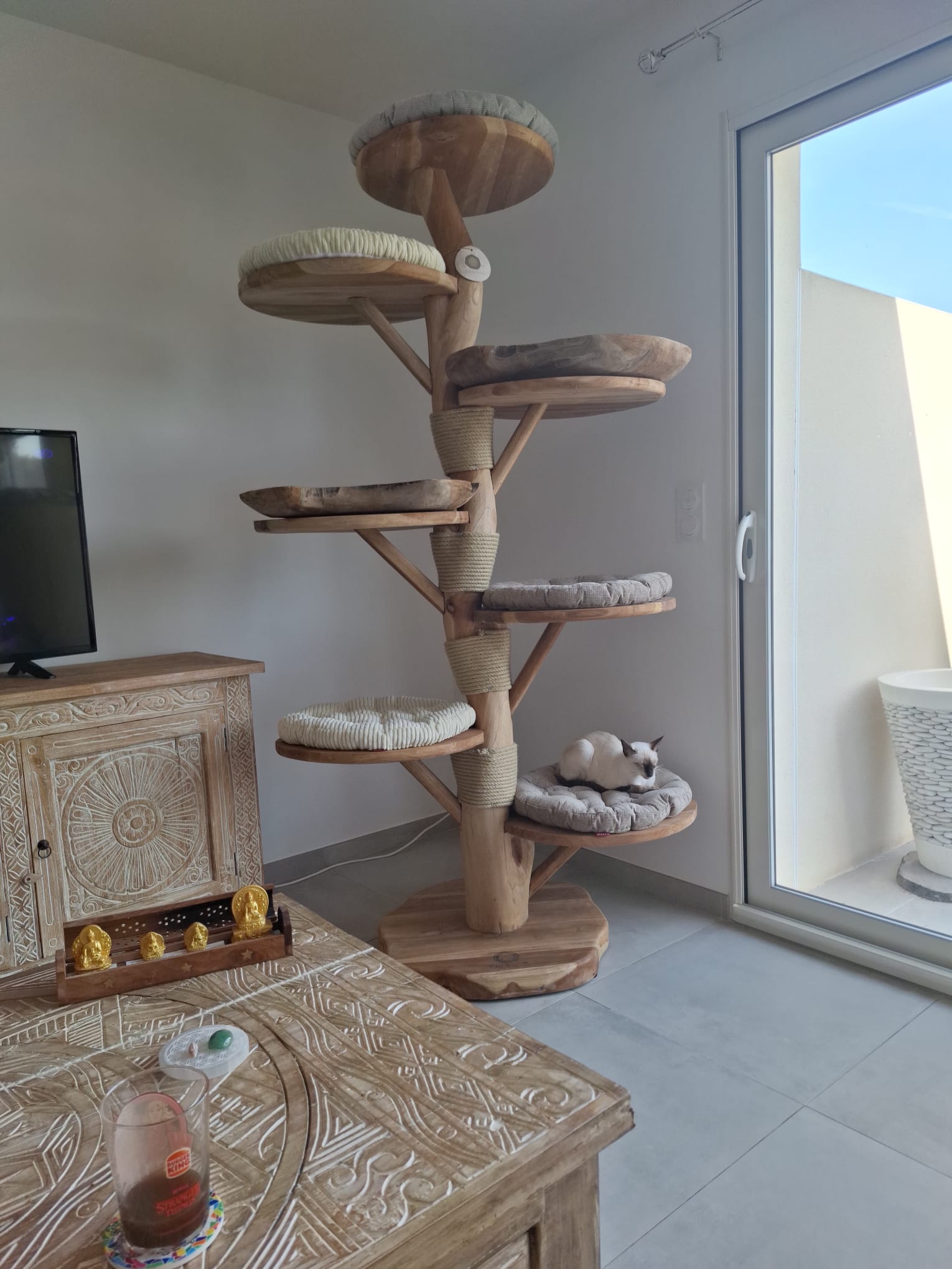 2m Jumbo Teak