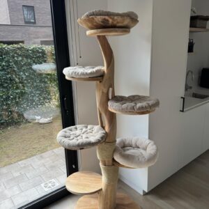 Baron 1.70m (bois de suar)