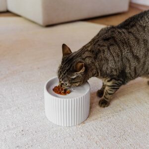 District 70 Sense keramische voerbak kat | Catz'n Wood